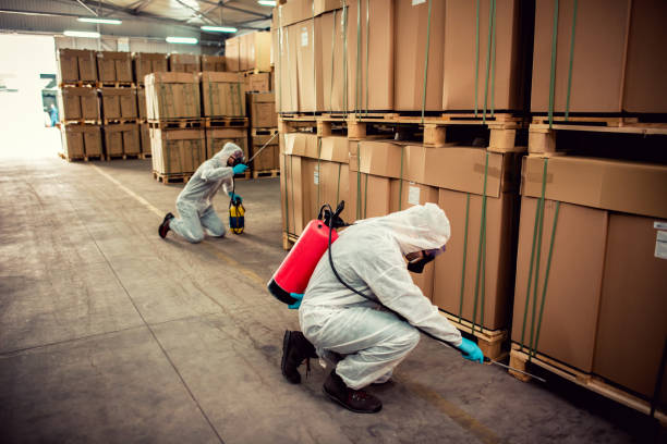 Best Affordable Pest Control Services  in Cave City, KY