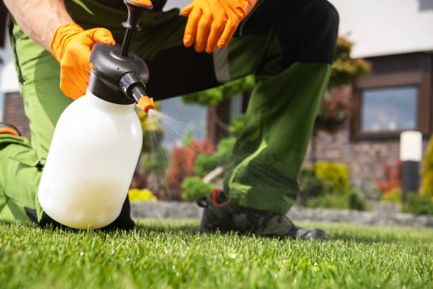 Wasp Removal Services in Cave City, KY