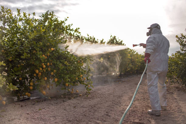 Trusted Cave City, KY Pest Control Experts